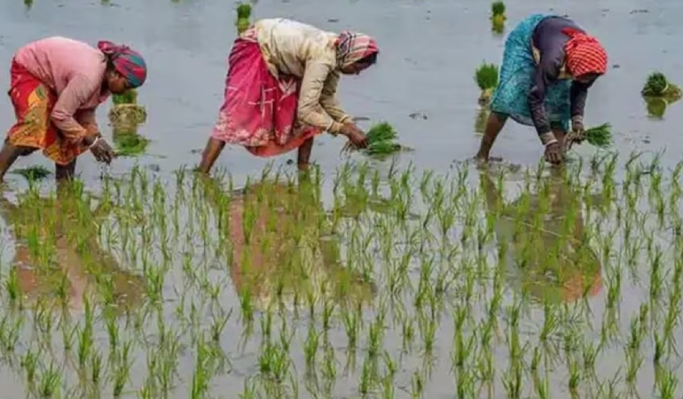 Pradhan Mantri Shetkar Samman Nidhi Yojana (PM-Kisan)