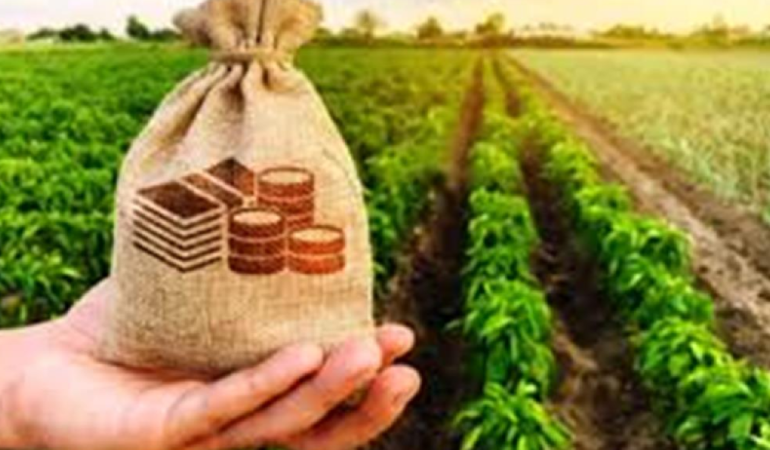 What is the benefit of Agricultural Mortgage Loan Scheme_